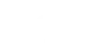 Mercedes-Benz Places Logo